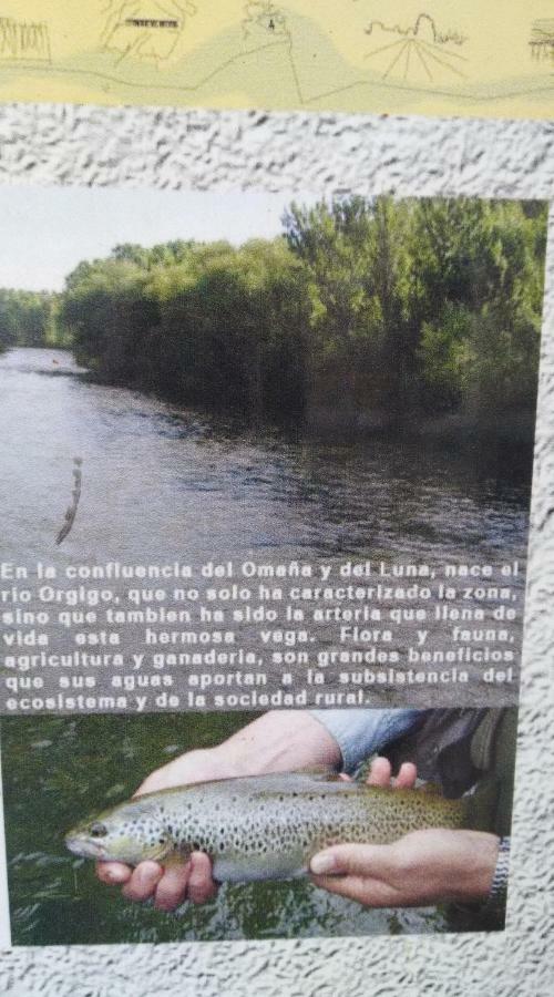 El Rinconcito de Llamas Llamas de la Ribera Exterior foto